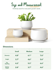 LE TAUCI unglazed interior texture promoting healthier root airflow
