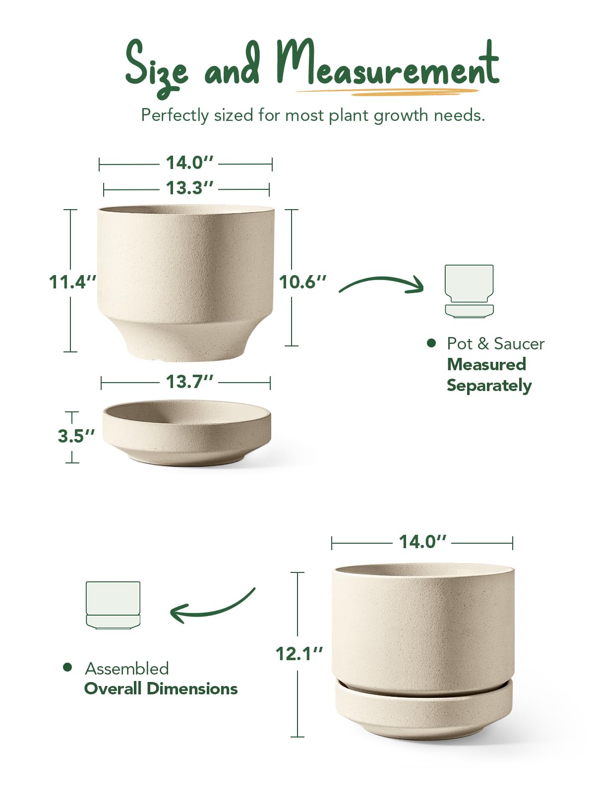 LE TAUCI wide opening showing scale with a ruler and plant for repotting clarity