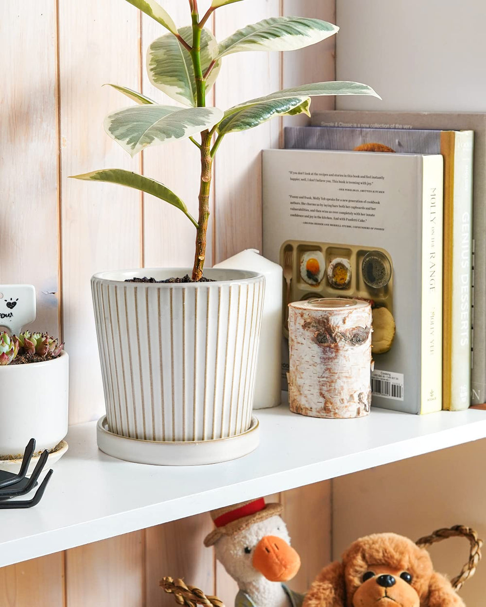 LE TAUCI pot holding succulent demonstrating neat drainage and decorative use