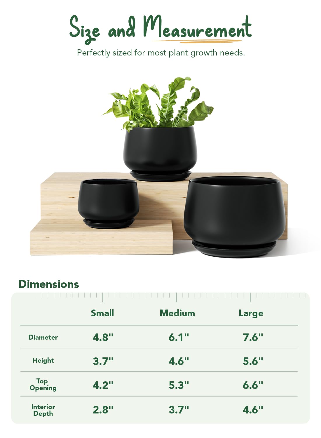LE TAUCI set filled with succulents on a table for stylish indoor decor