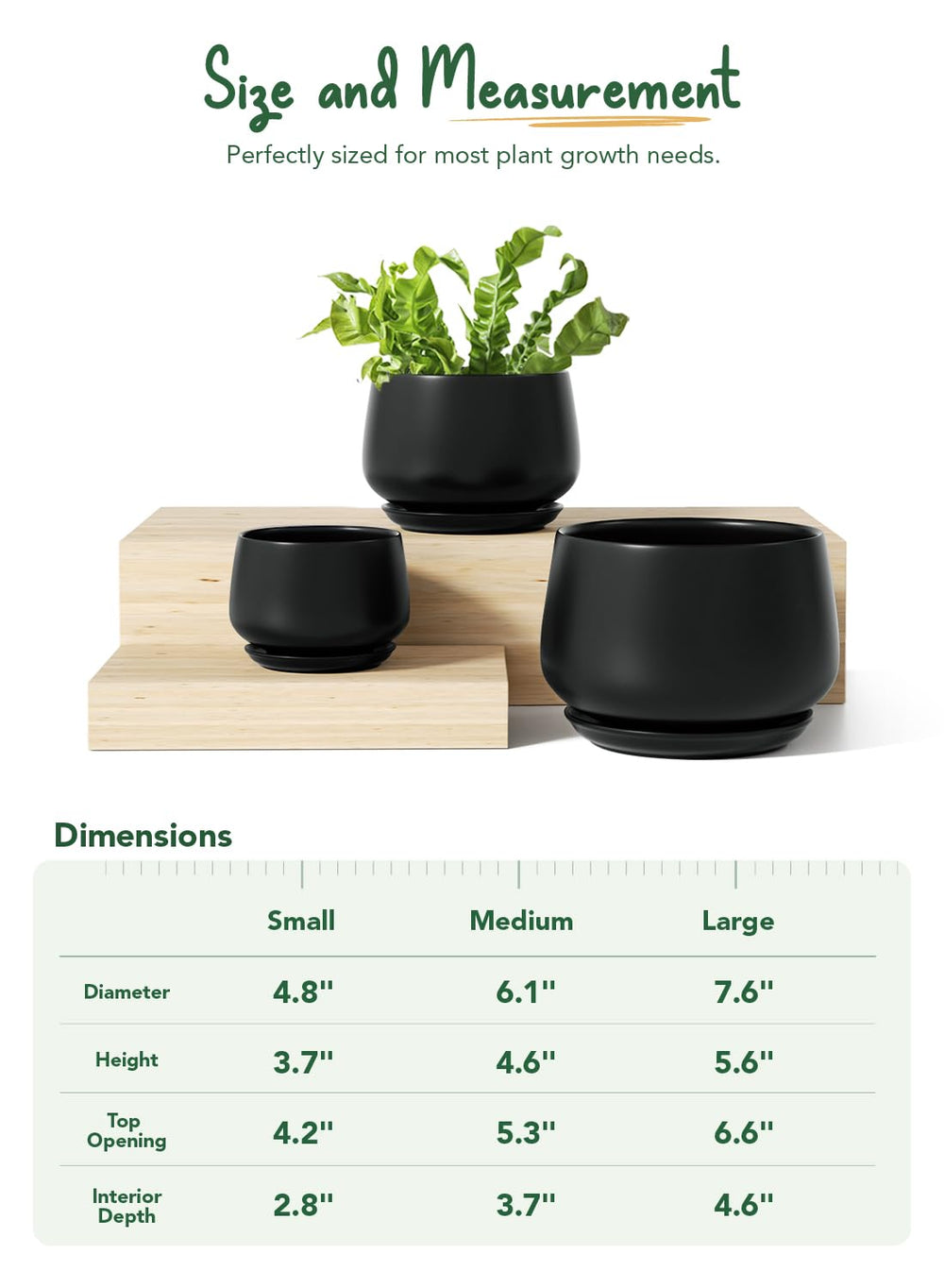LE TAUCI set filled with succulents on a table for stylish indoor decor
