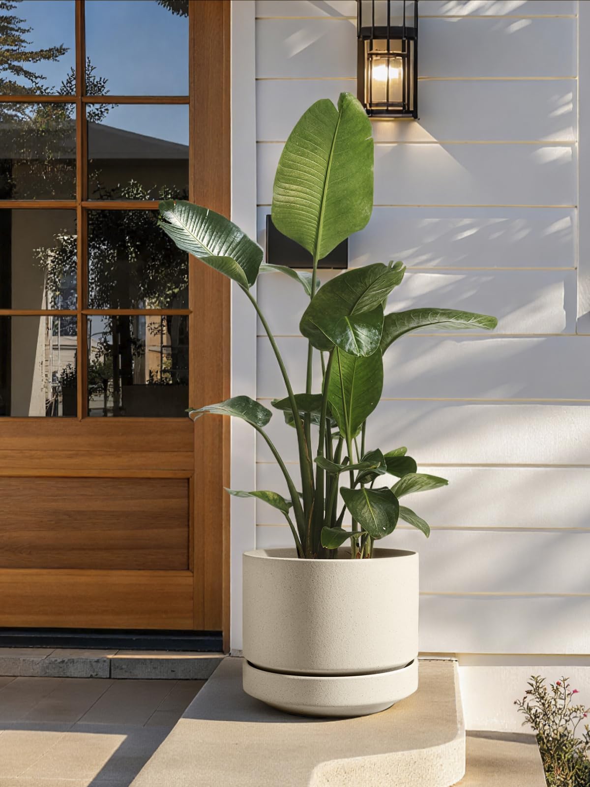 LE TAUCI planter in a living room with a large houseplant adding sculptural greenery