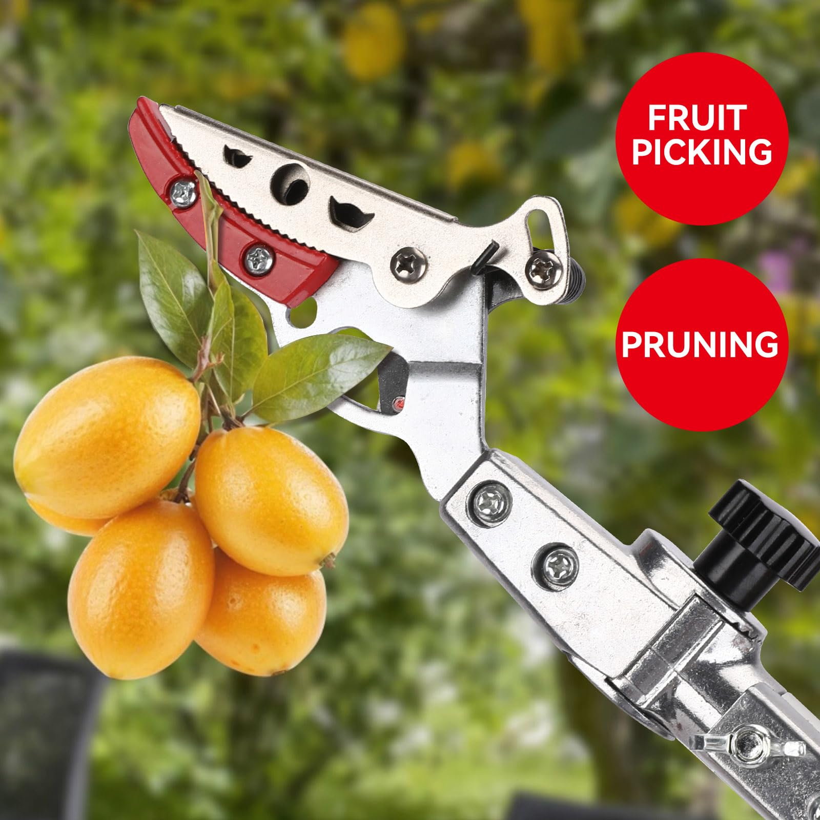LeafLux lifestyle harvesting apples demonstrating efficient picking