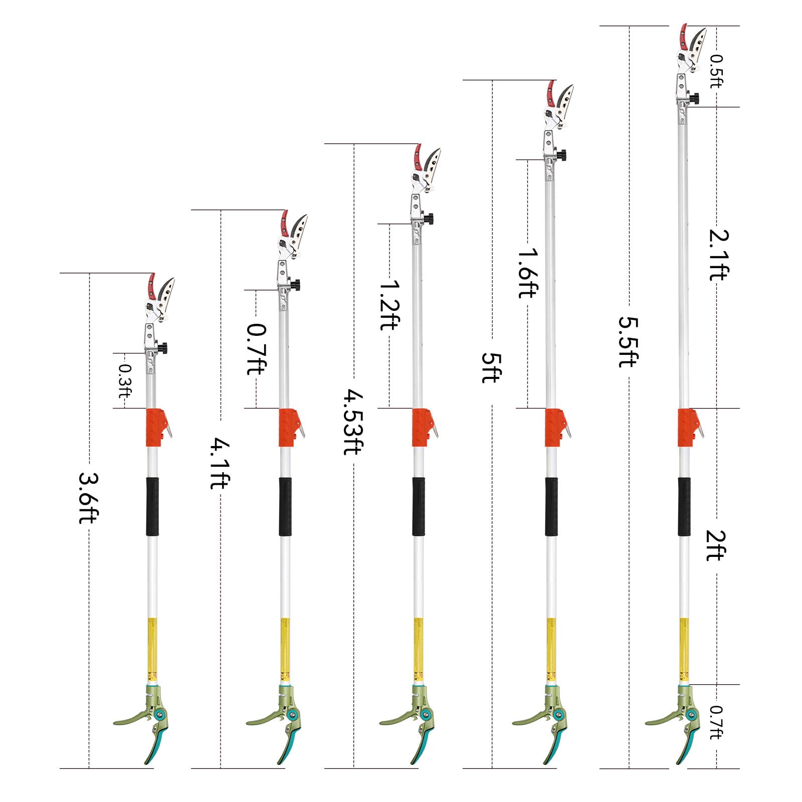 LeafLux size comparison beside ruler for clear reach dimensions
