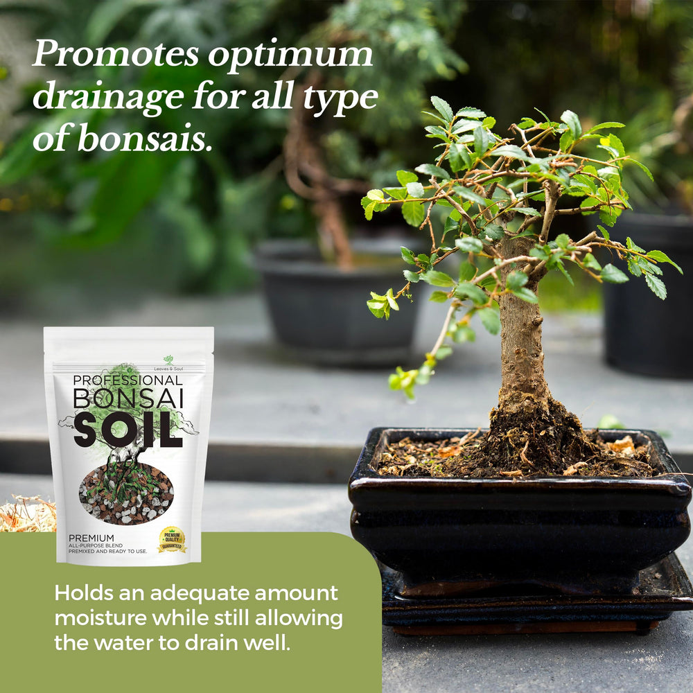 Leaves and Soul label and ingredient view ensuring consistent quality