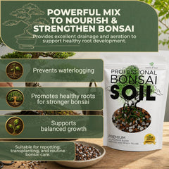 Leaves and Soul root zone showcase with improved oxygen and drainage