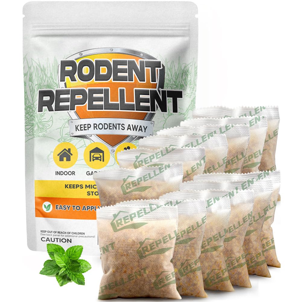 LEBMP front packaging showing 12-pack, clear protection for home areas