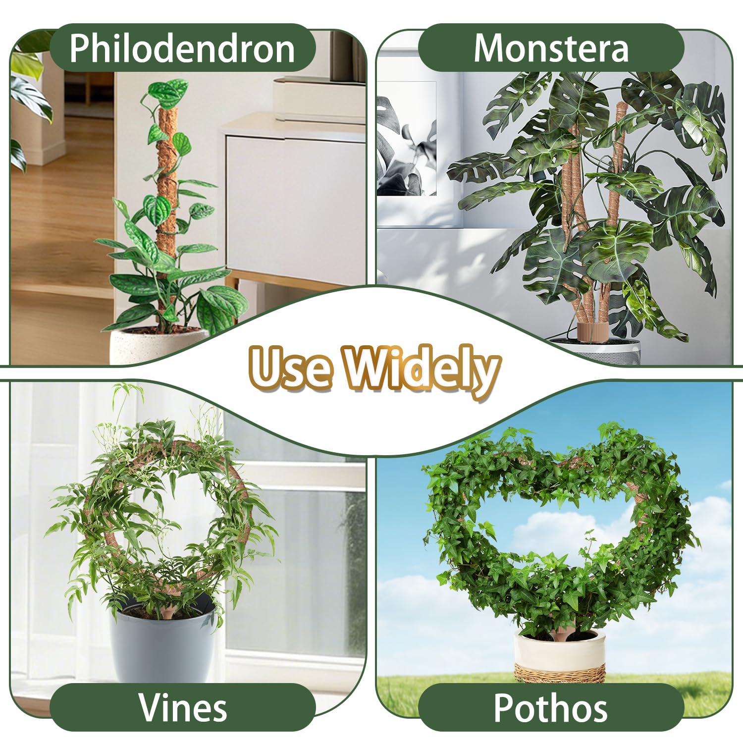 LECAMEBOR lifestyle shelf scene with plants using moss poles for space-saving display