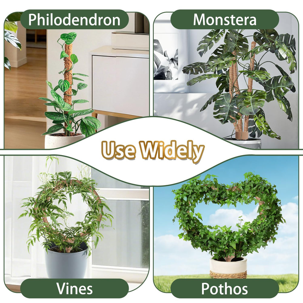 LECAMEBOR lifestyle shelf scene with plants using moss poles for space-saving display