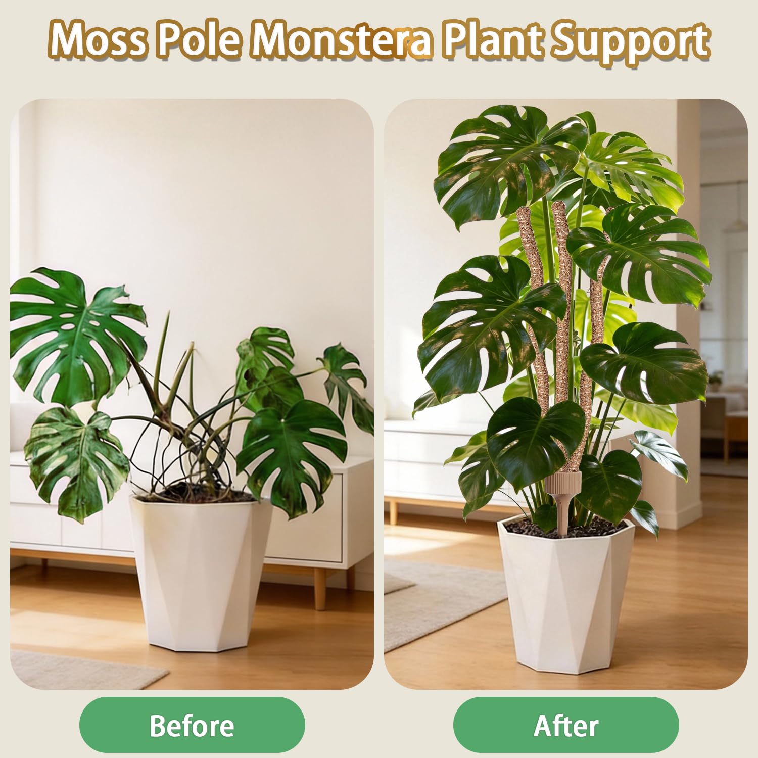 LECAMEBOR reinforced ground stake inserted in soil for secure anchoring of tall plants