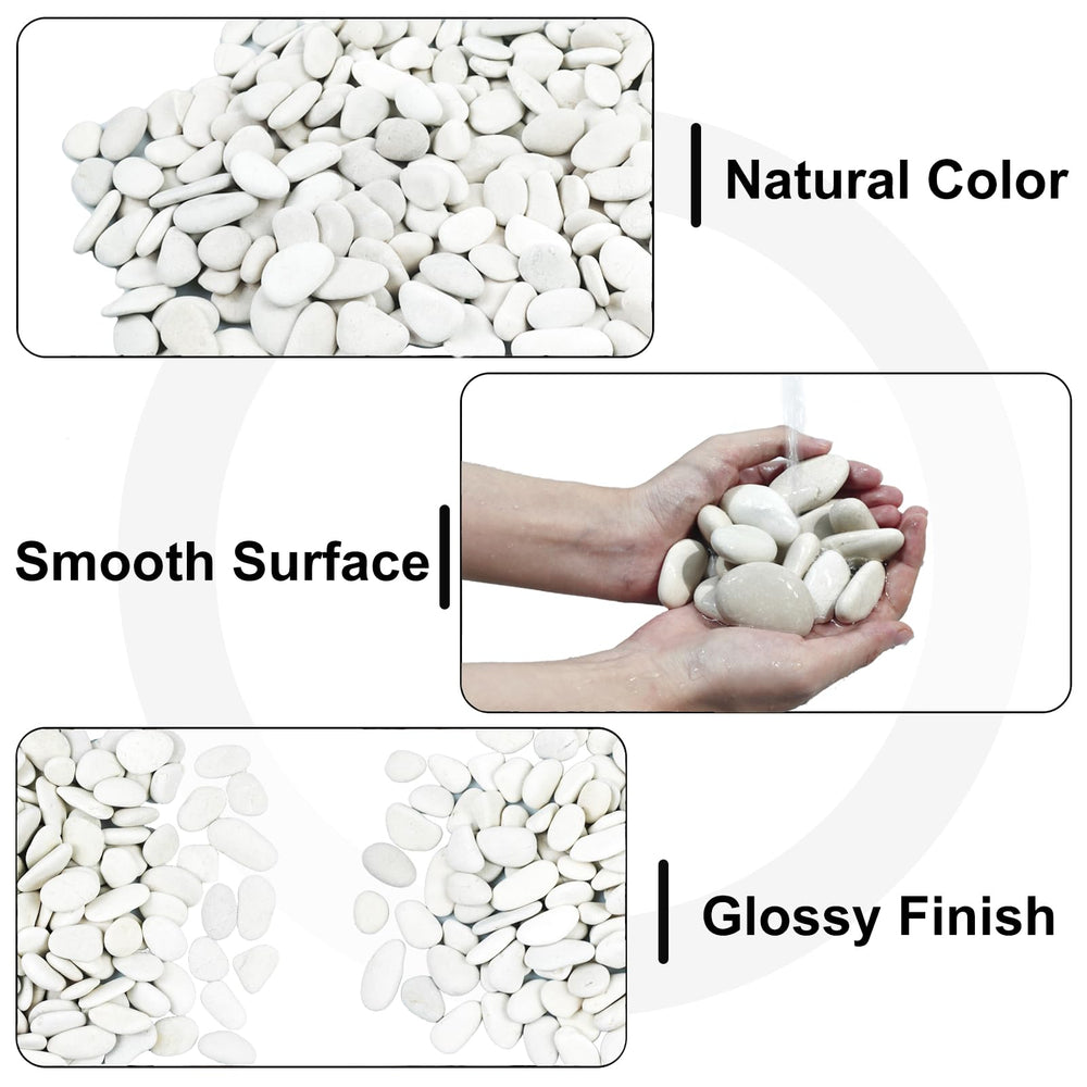 Lechloris clear bag and label detail showing hand-selected quality assurance