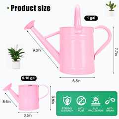 Lechloris removable spout close-up highlighting precise watering control benefit
