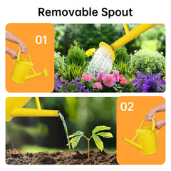 Lechloris watering hanging basket demonstrating extended reach benefit