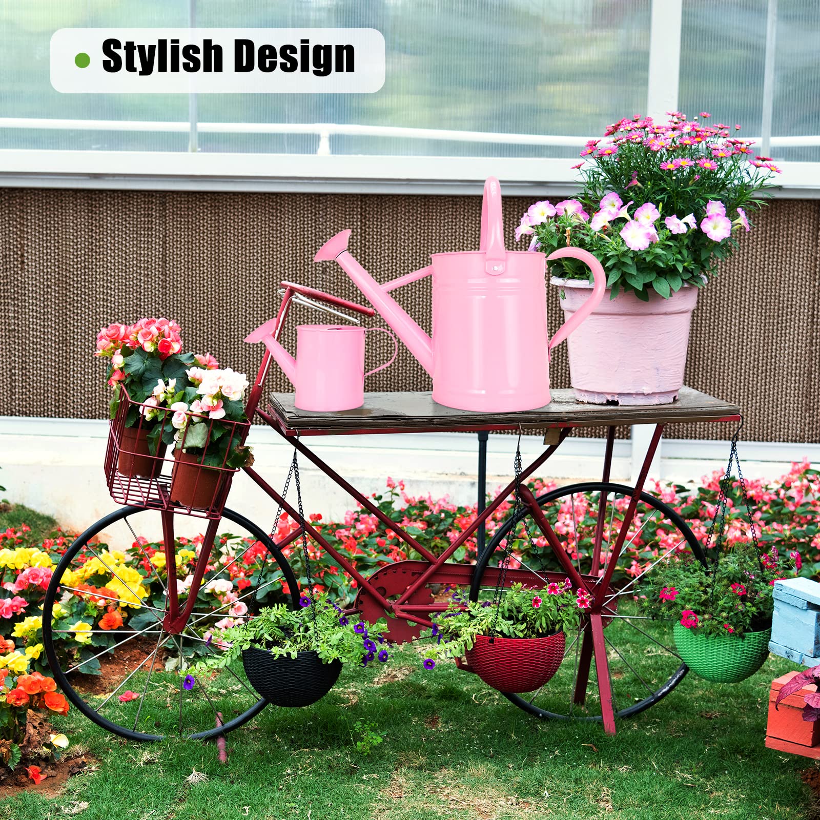Lechloris on patio with plants showing decorative look and outdoor use benefit