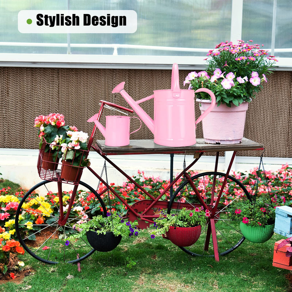 Lechloris on patio with plants showing decorative look and outdoor use benefit
