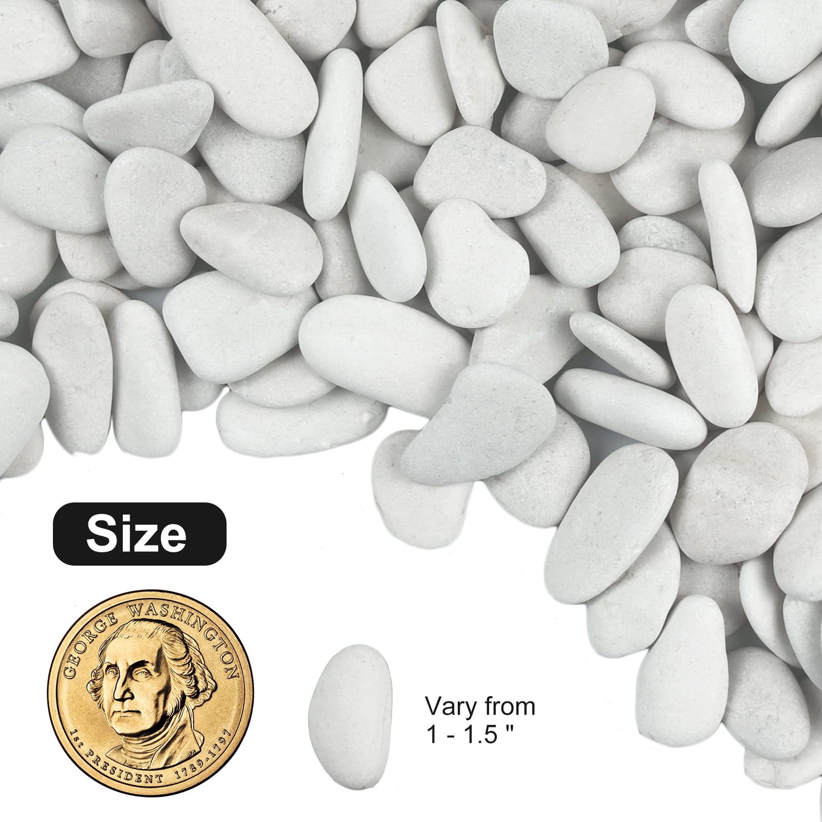 Lechloris polished pebble close-up highlighting smooth texture and consistent color