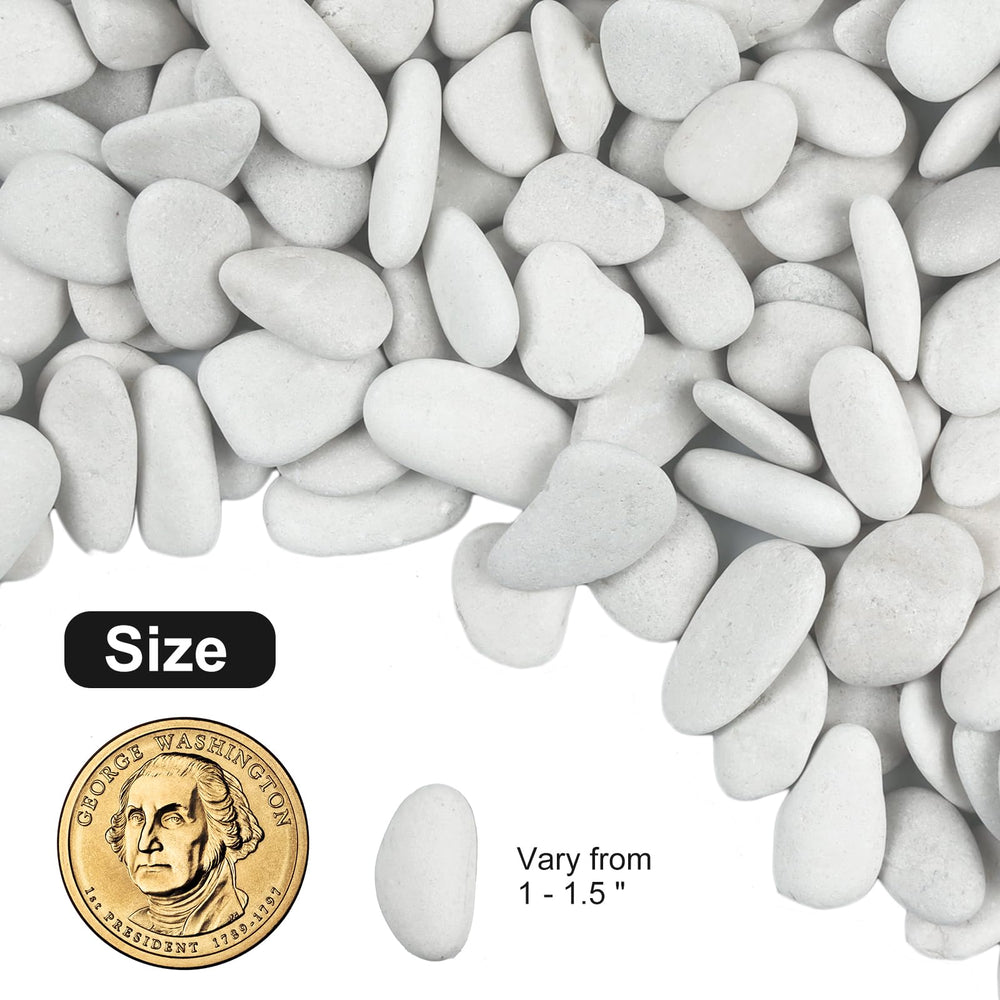 Lechloris polished pebble close-up highlighting smooth texture and consistent color