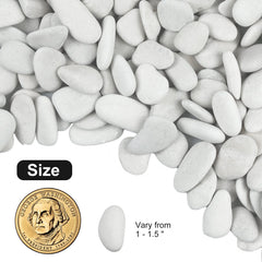 Lechloris polished pebble close-up highlighting smooth texture and consistent color