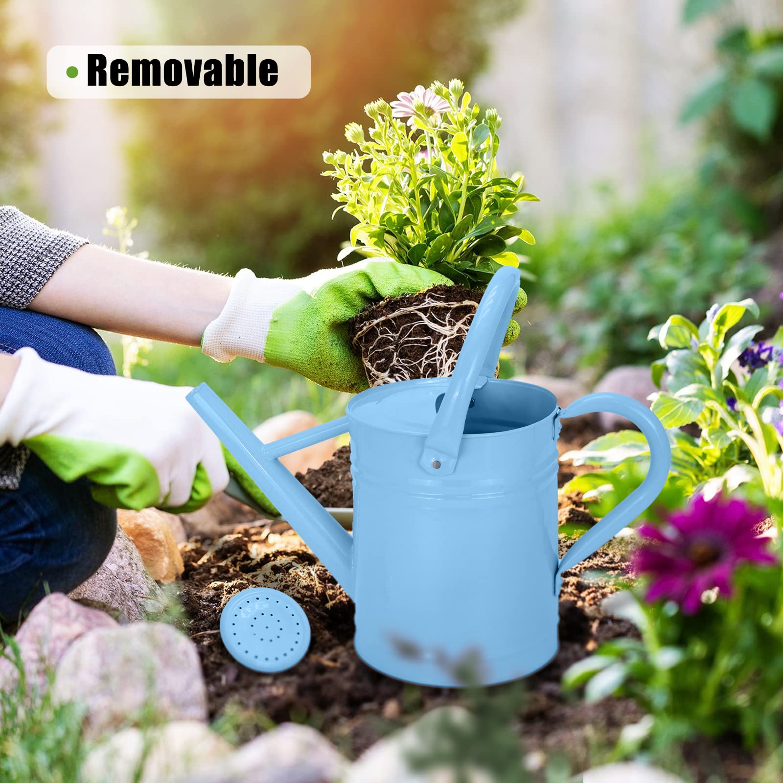 Lechloris close-up of removable spout, clear access and cleaner watering