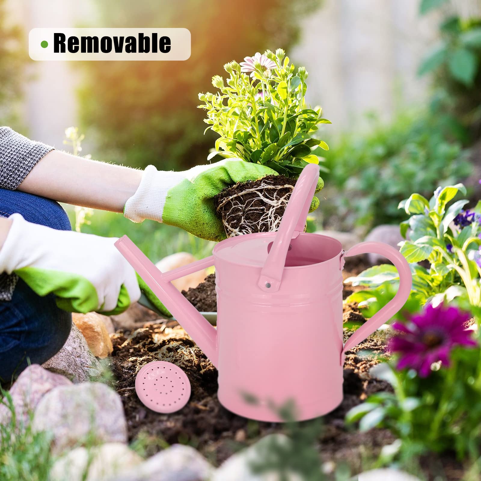 Lechloris handle and wide fill opening view for easy refilling benefit