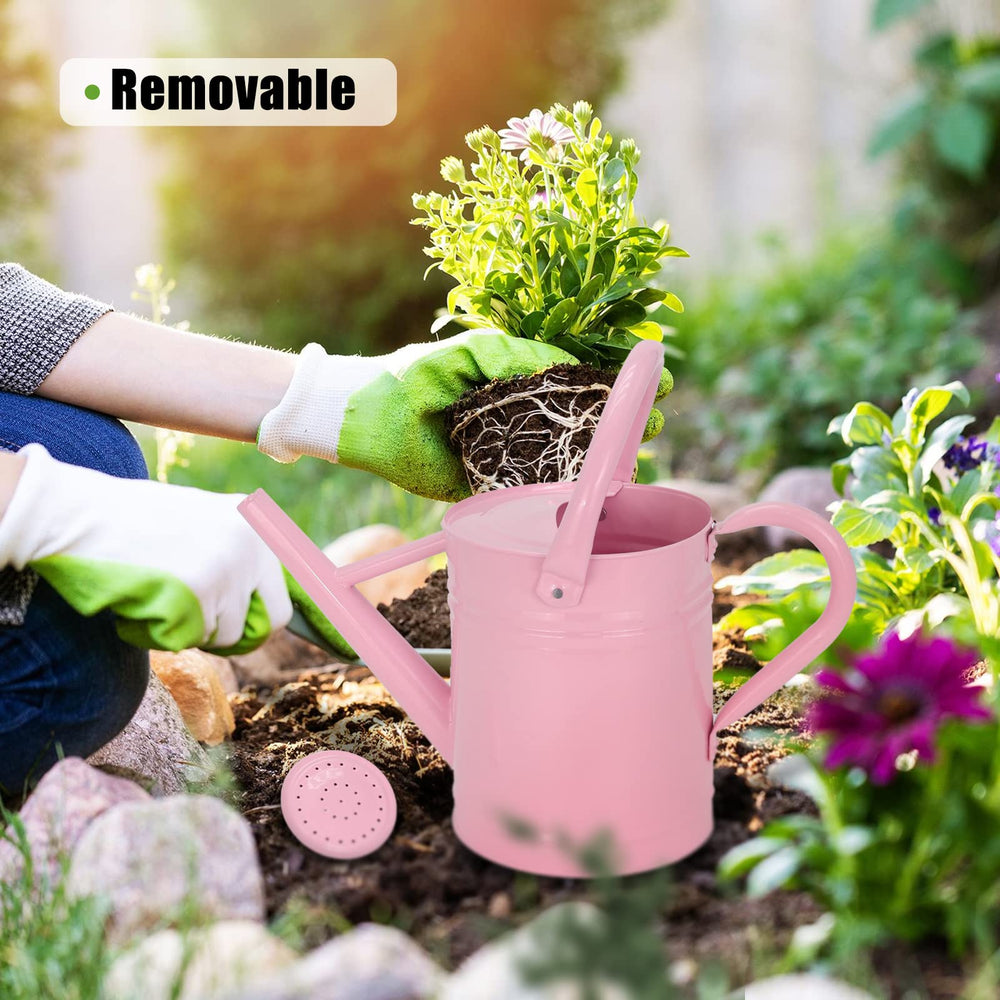 Lechloris handle and wide fill opening view for easy refilling benefit