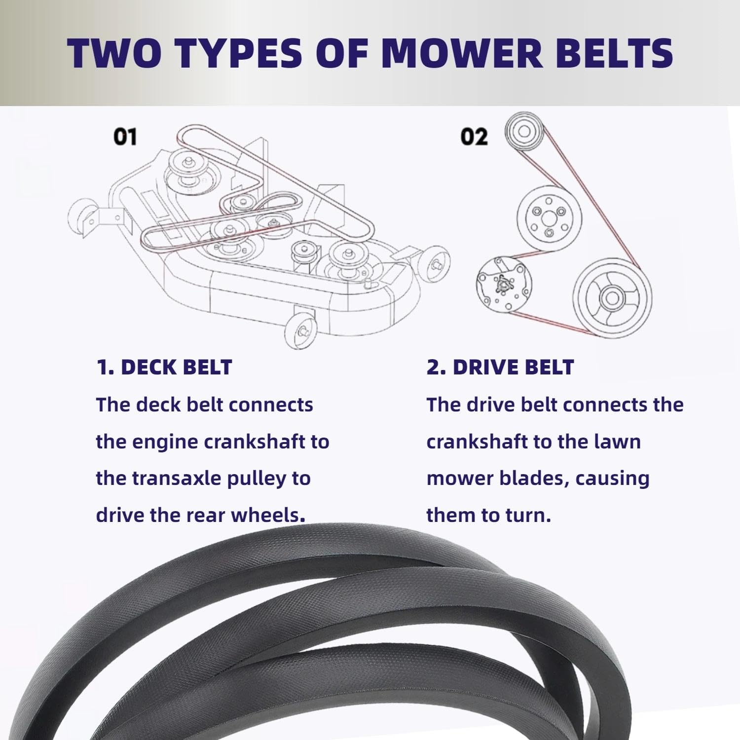 Leego belt next to ruler showing 154 inch length for correct sizing