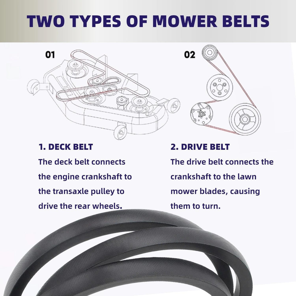 Leego belt next to ruler showing 154 inch length for correct sizing