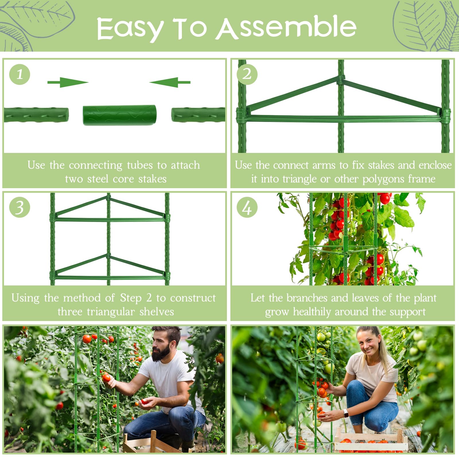 Legigo assembled cage in garden supporting tomato vines for tidy growth