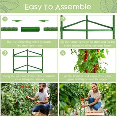 Legigo assembled cage in garden supporting tomato vines for tidy growth