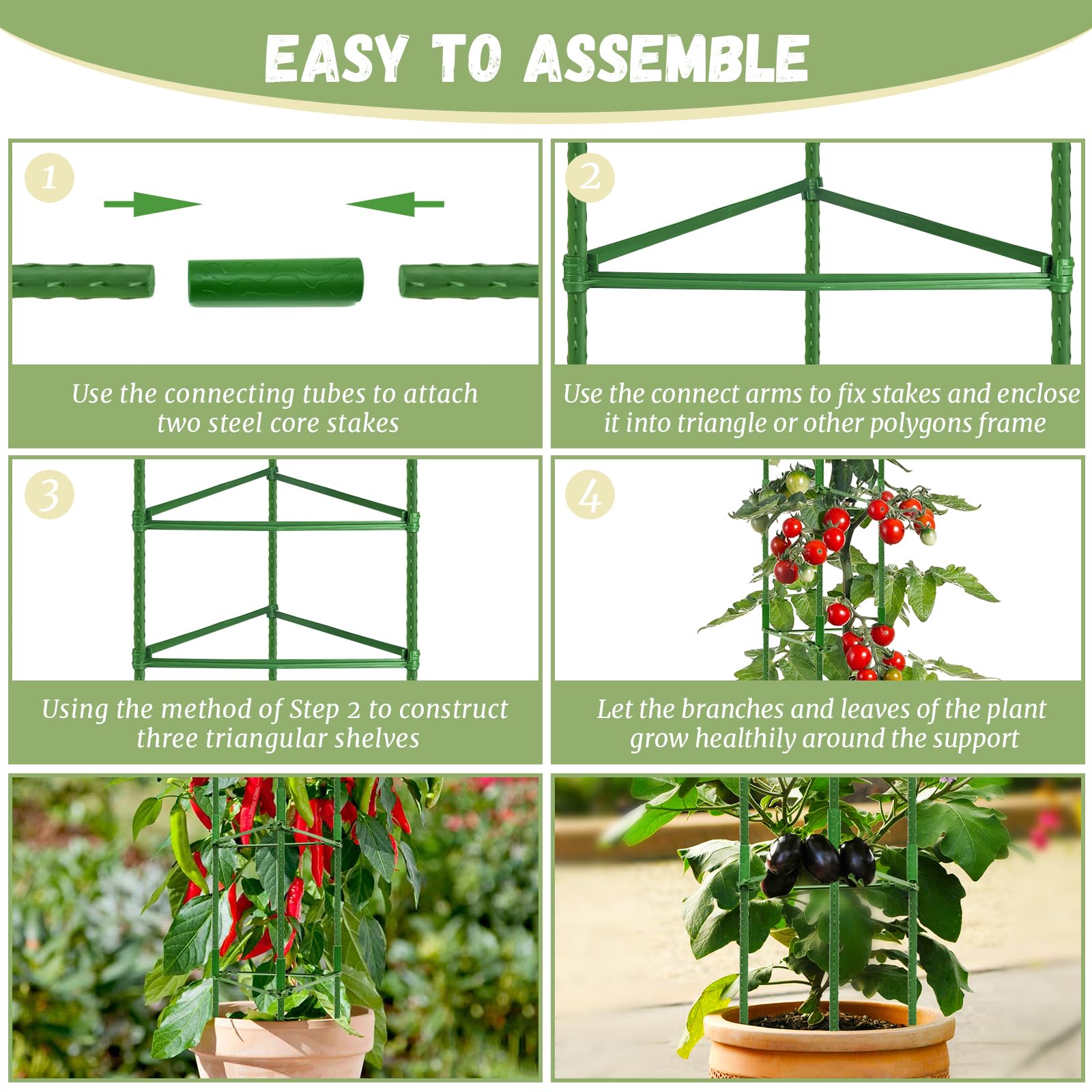 Legigo assembled trellis supporting tomato plant and improving airflow benefit