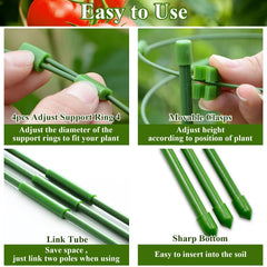 Legigo cage installed in a potted tomato plant giving upright support and easier harvesting