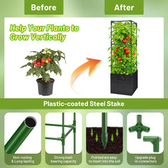 Legigo cage in use with a tomato plant demonstrating vertical support and easier harvesting