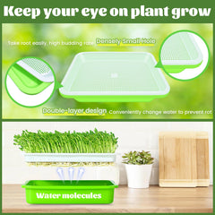 Legigo transparent lid detail showing visibility and protection for consistent sprout checks