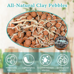 Legigo close-up of clay pebbles texture showing porous surface for aeration