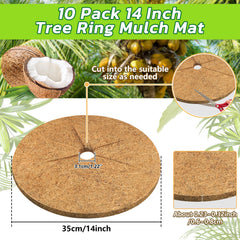 Legigo coconut fiber close-up highlighting dense texture and moisture retention
