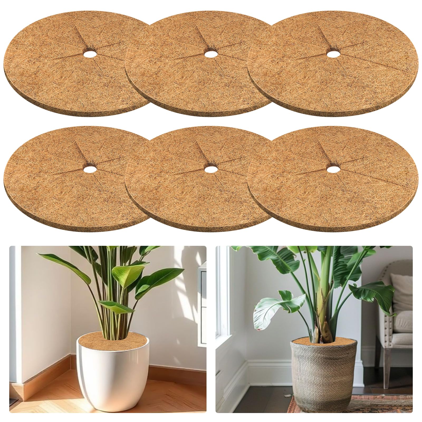 Legigo front packaging showing six 18-inch mulch rings and benefits