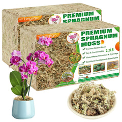 Legigo front packaging showing two moss packs and product benefits