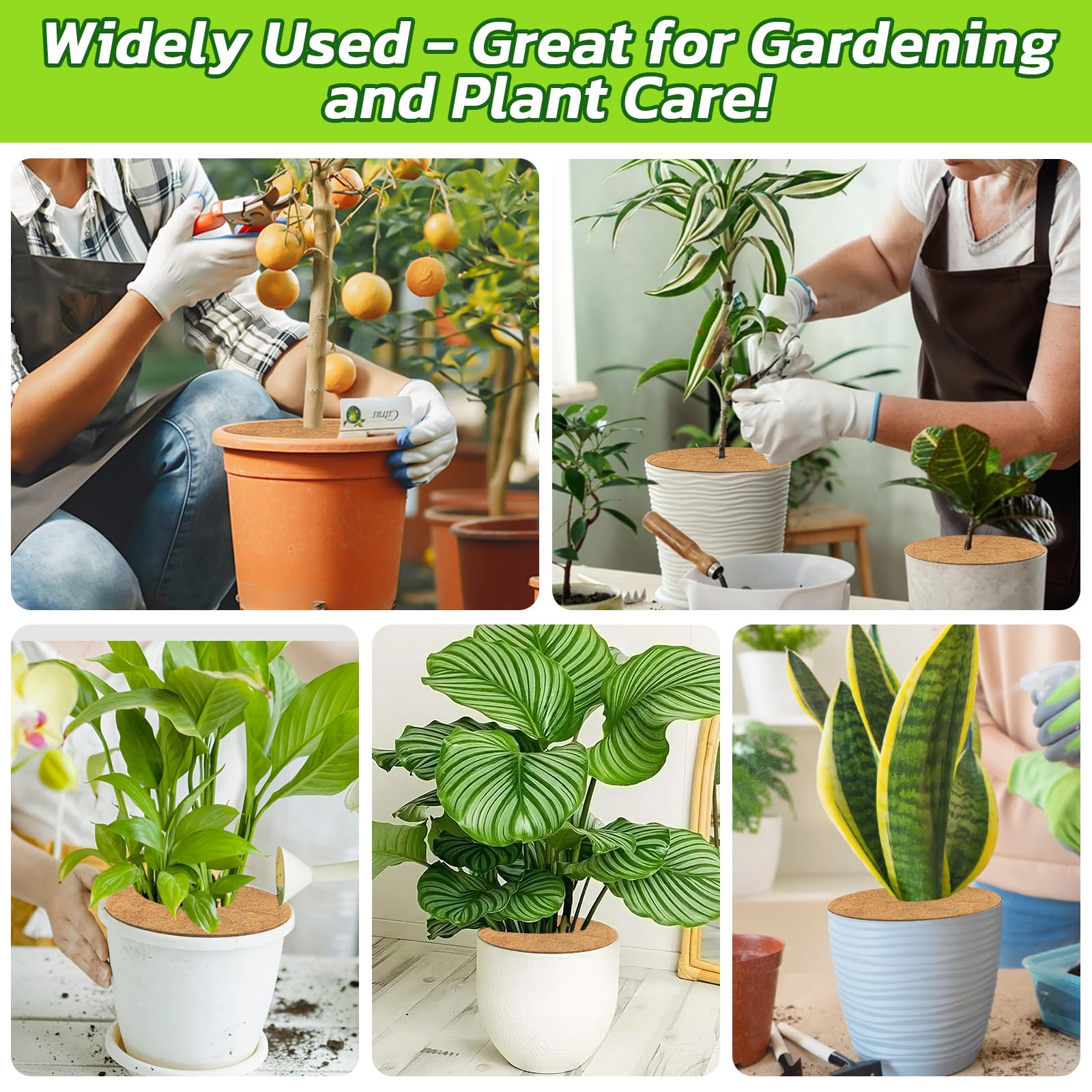 Legigo garden lifestyle scene with rings on pots for tidy aesthetic benefit