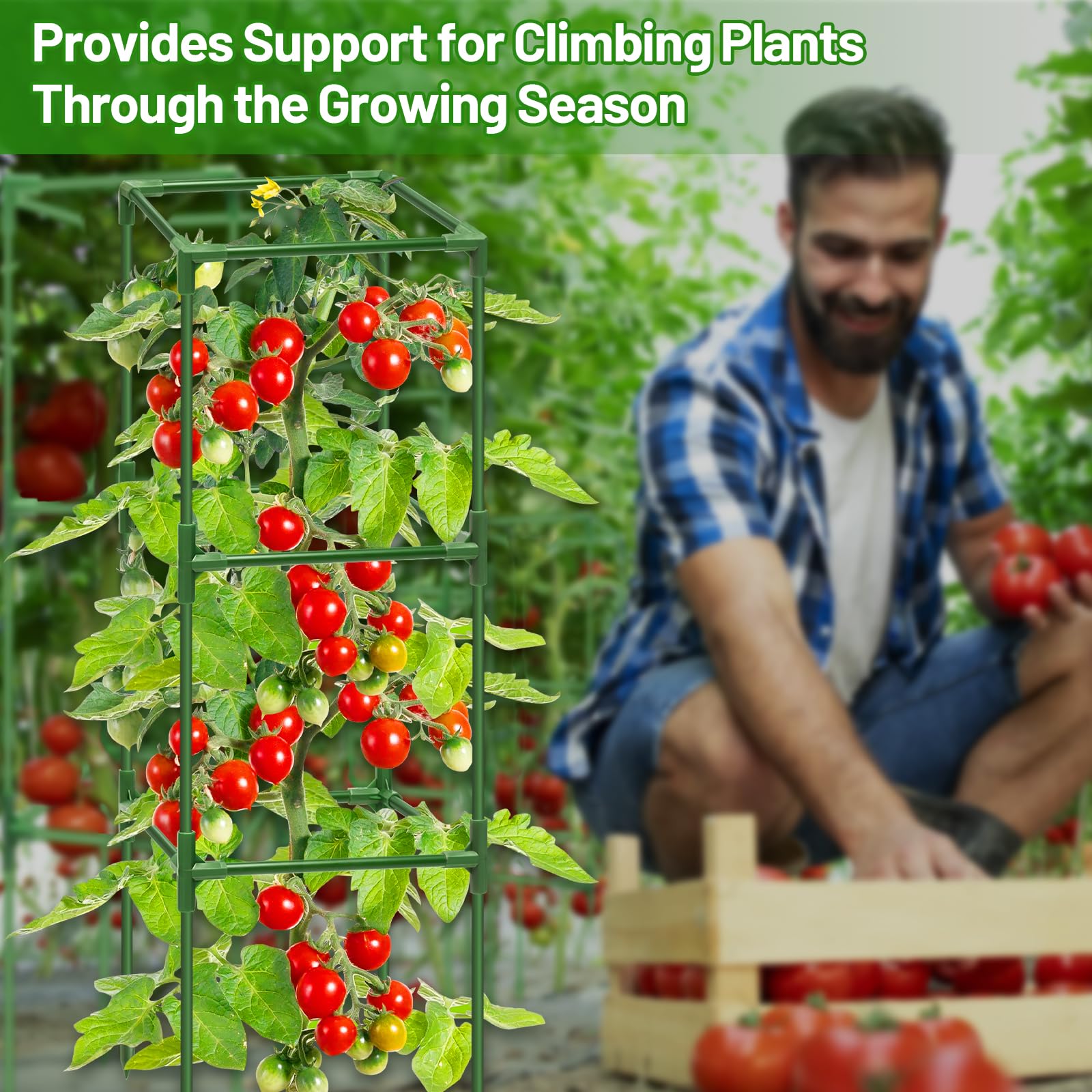 Legigo cages in a garden setting offering neat vertical vegetable support