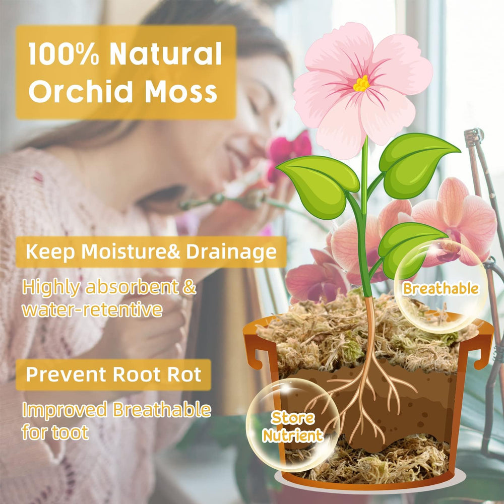 Legigo hydrated moss expanded in bowl demonstrating water retention benefit
