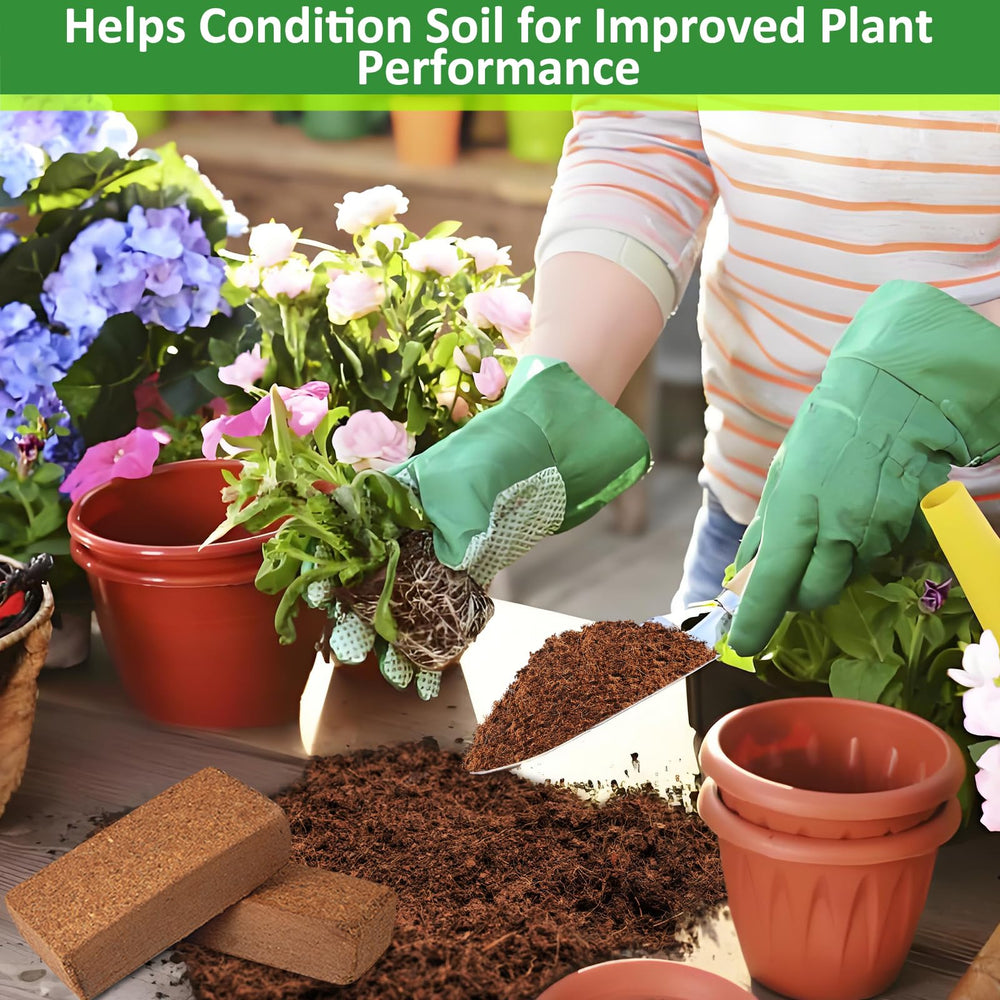 Legigo potted herb on windowsill using coir for steady moisture retention