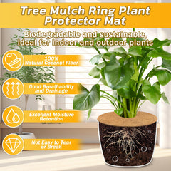 Legigo installed ring around tree trunk protecting roots and reducing weeds