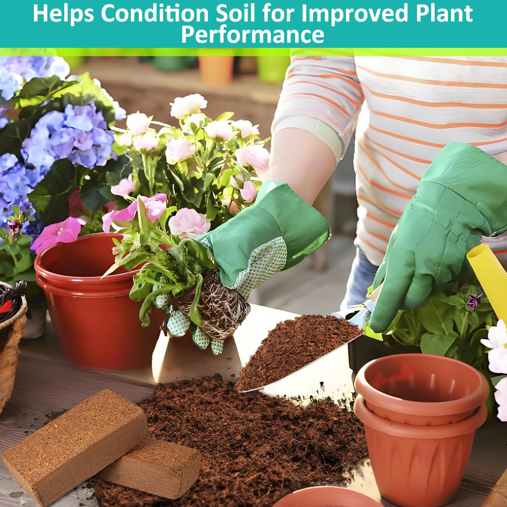 Legigo indoor potted plants using coco coir showing healthy root support and growth