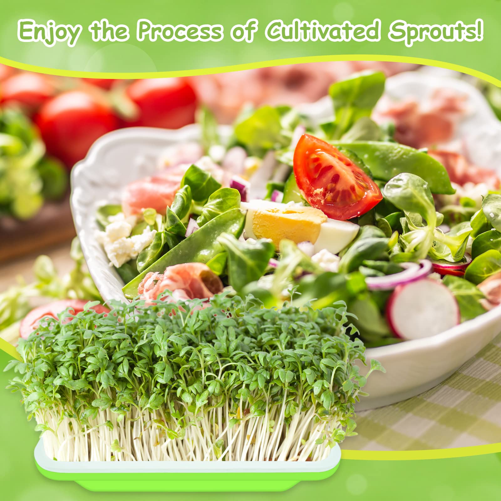 Legigo sprouter trays on kitchen counter with fresh microgreens ready to harvest