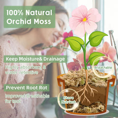 Legigo moss expanded in bowl demonstrating hydration and volume gain