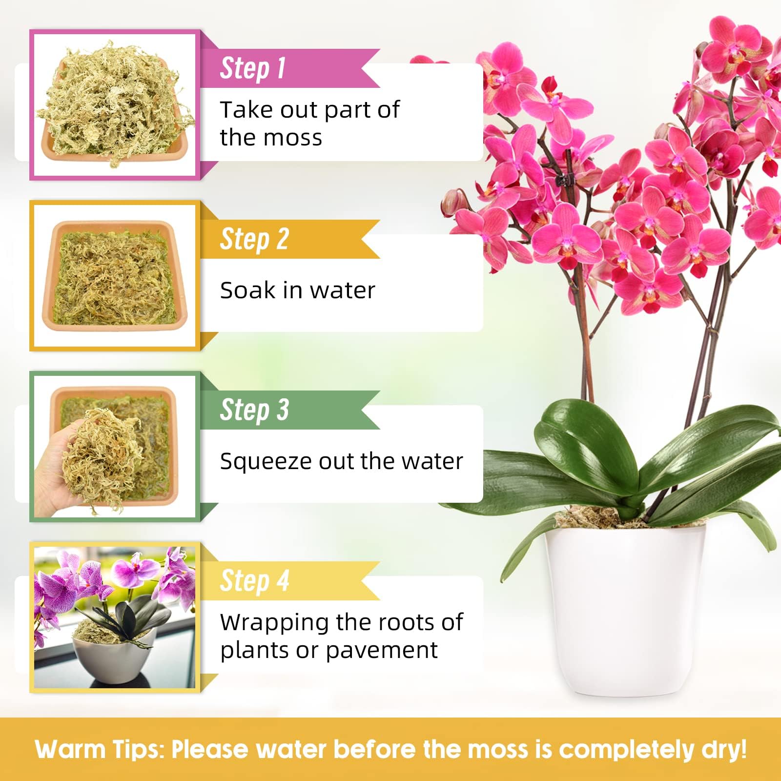 Legigo being used to repot an orchid showing easy application and healthier roots