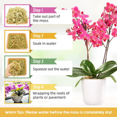Legigo being used to repot an orchid showing easy application and healthier roots