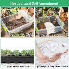 Legigo perlite blended with cactus soil to prevent soggy roots