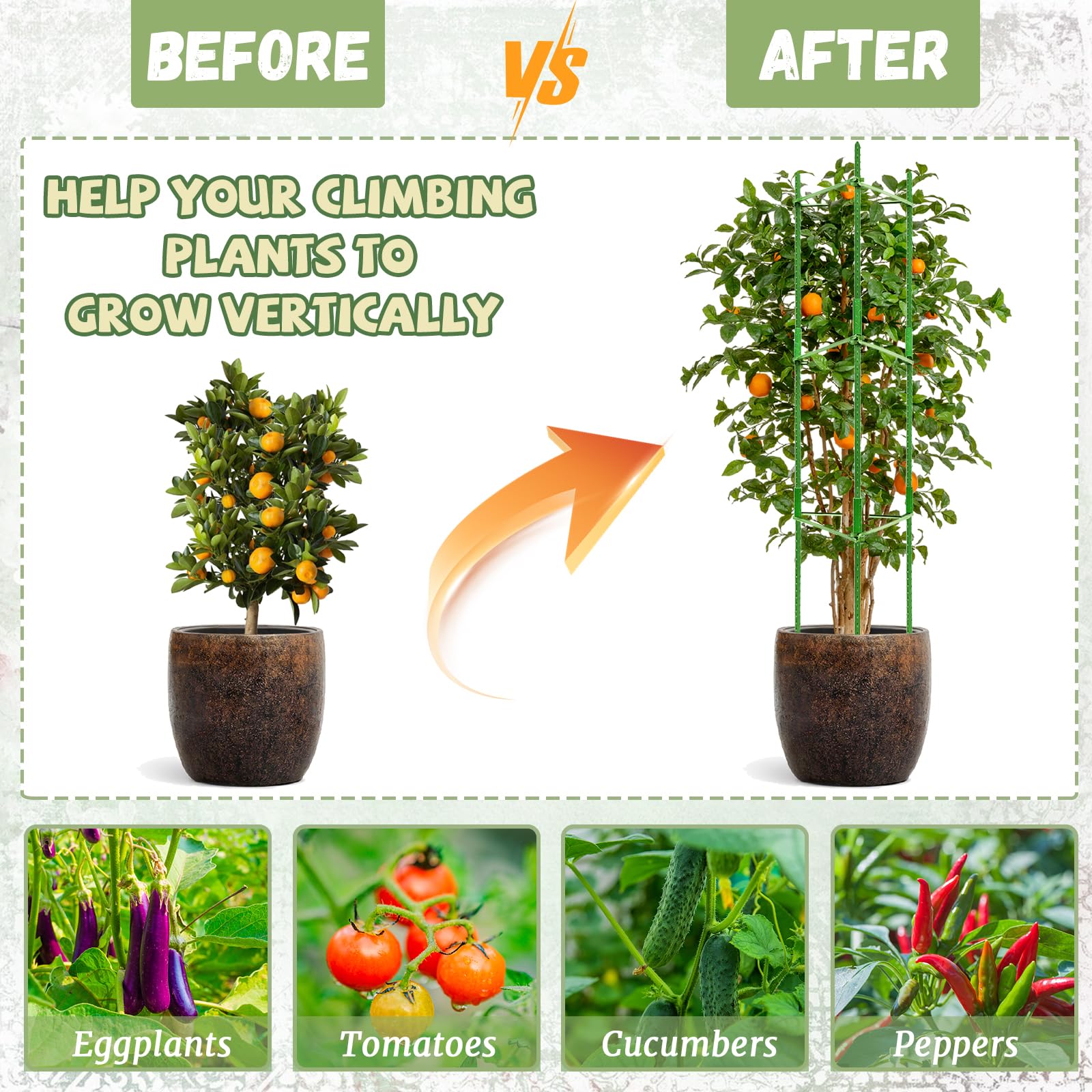 Legigo plant ties securing tomato stems to reduce breakage benefit