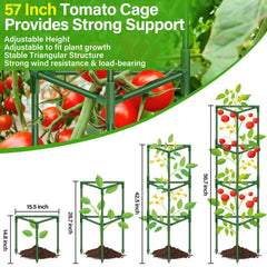 Legigo pointed stake pushed into garden soil illustrating firm anchoring and stability benefit